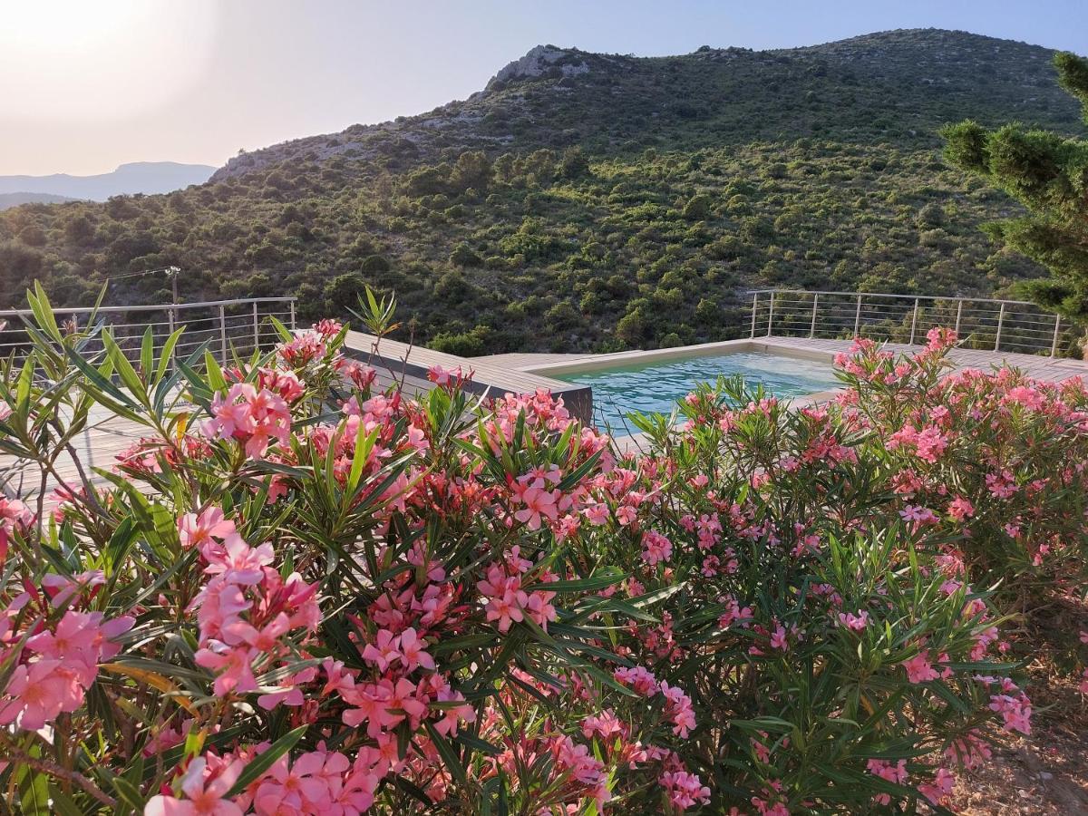 Lodge Avec Vue Imprenable ! Vingrau ภายนอก รูปภาพ